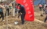 經(jīng)濟管理系師生積極參加義務植樹勞動
