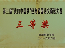 第三屆“我的中國(guó)夢(mèng)”經(jīng)典愛國(guó)詩(shī)文誦讀大賽三等獎(jiǎng)